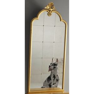 Degas RA.0835.A, Gran espejo de panel de Vneto de estilo del siglo XVIII